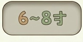 6〜8さい（えらんだ）